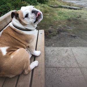 Meet your Posher, Alannah